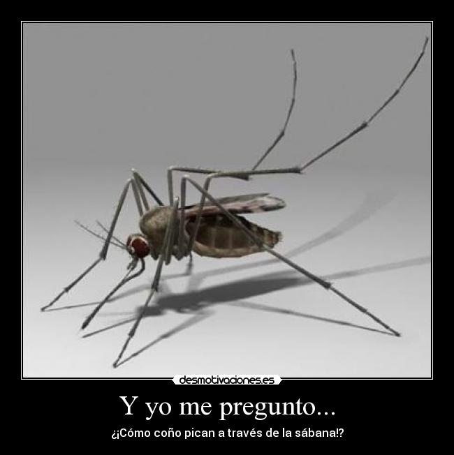 carteles mosquito desmotivaciones