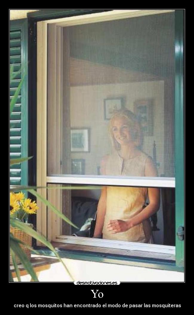 Yo - creo q los mosquitos han encontrado el modo de pasar las mosquiteras