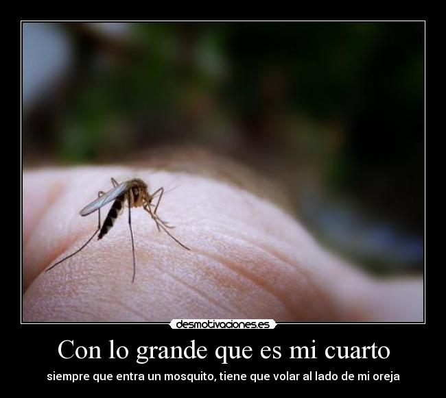 carteles grande cuarto mosquito oreja desmotivaciones