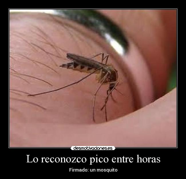 Lo reconozco pico entre horas -