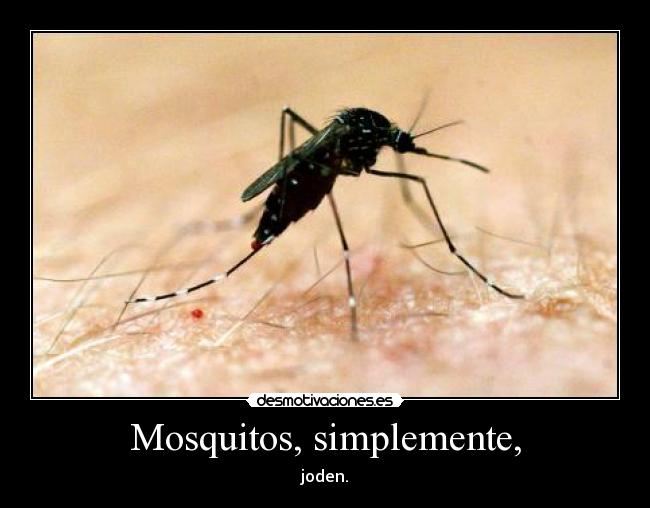 Mosquitos, simplemente, - joden.