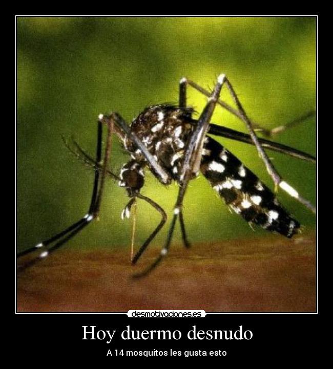 Hoy duermo desnudo -