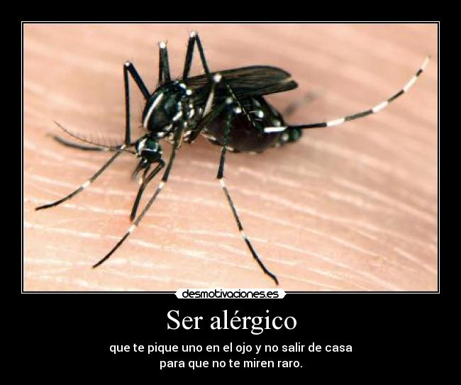 Ser alérgico - que te pique uno en el ojo y no salir de casa
para que no te miren raro.
