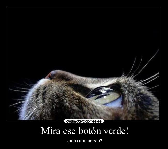 Mira ese botón verde! -