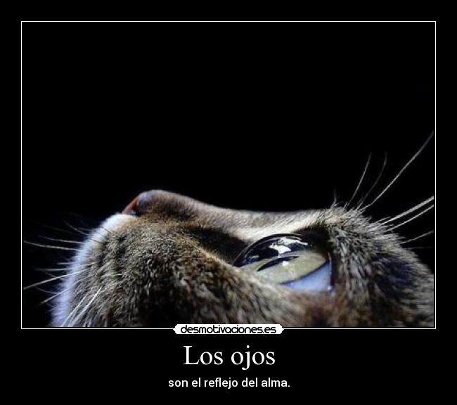 Los ojos - son el reflejo del alma.