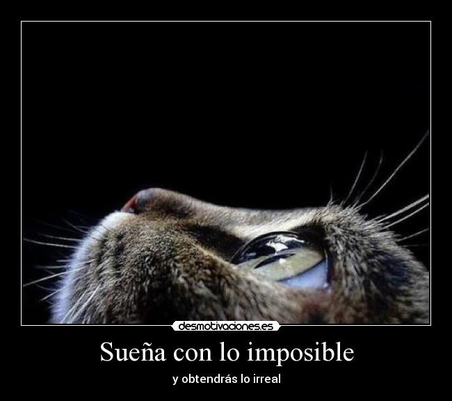 Sueña con lo imposible - y obtendrás lo irreal