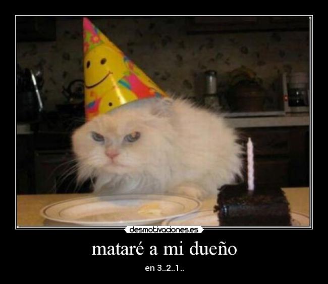 mataré a mi dueño -