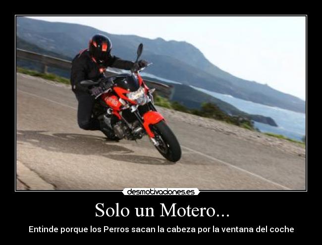 carteles thana desmotivaciones