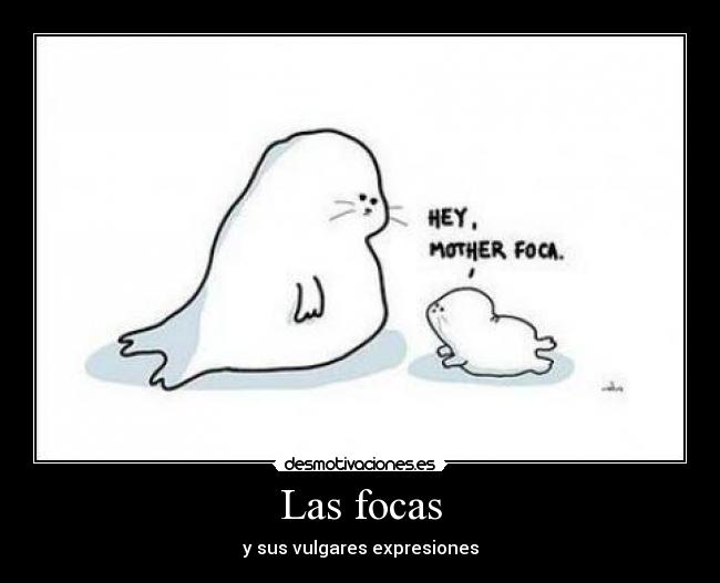 Las focas -