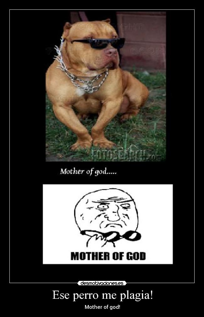 Ese perro me plagia! -