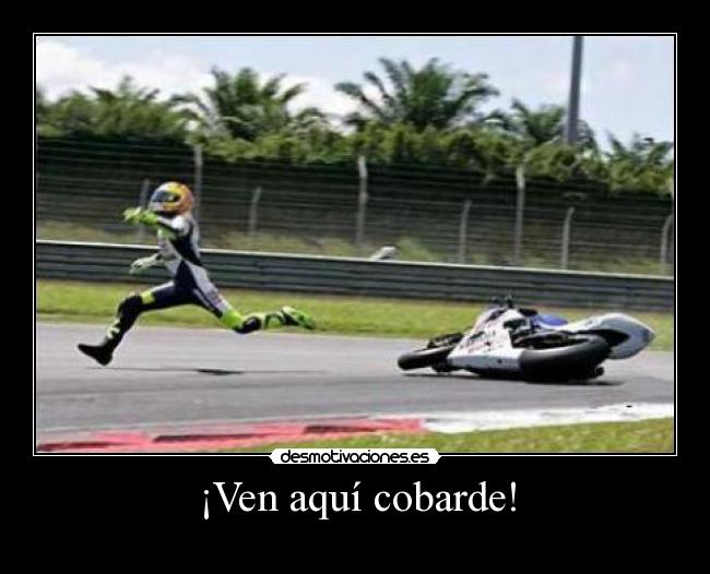 ¡Ven aquí cobarde! -             