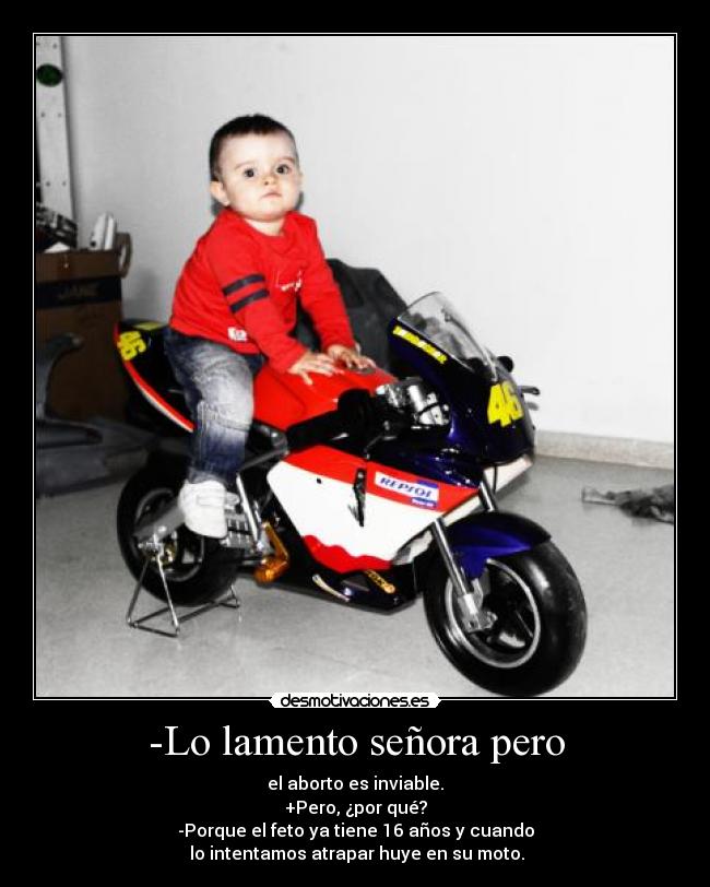 -Lo lamento señora pero - 