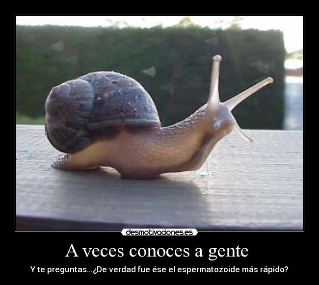 A veces conoces a gente  - 