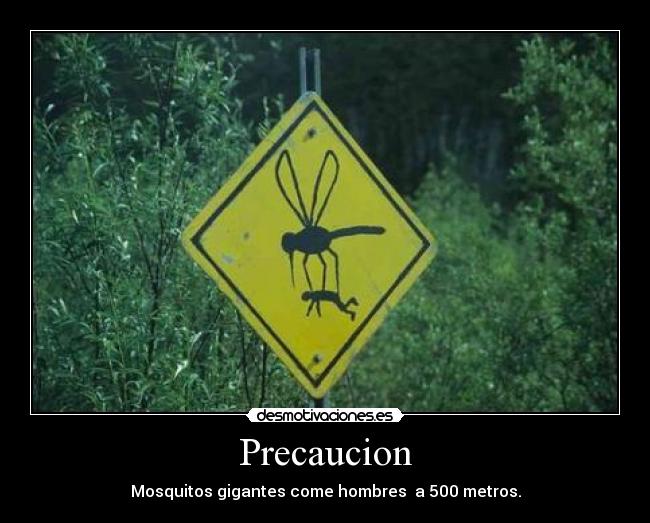 Precaucion - Mosquitos gigantes come hombres a 500 metros.