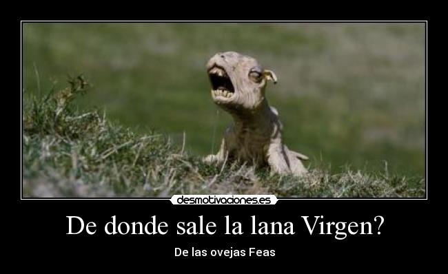 carteles holatiocomoestas desmotivaciones