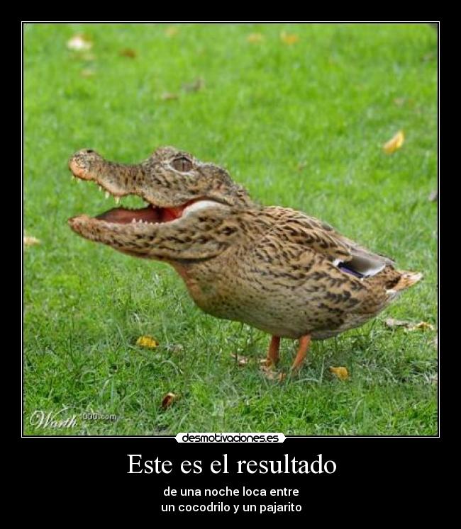 Este es el resultado - 