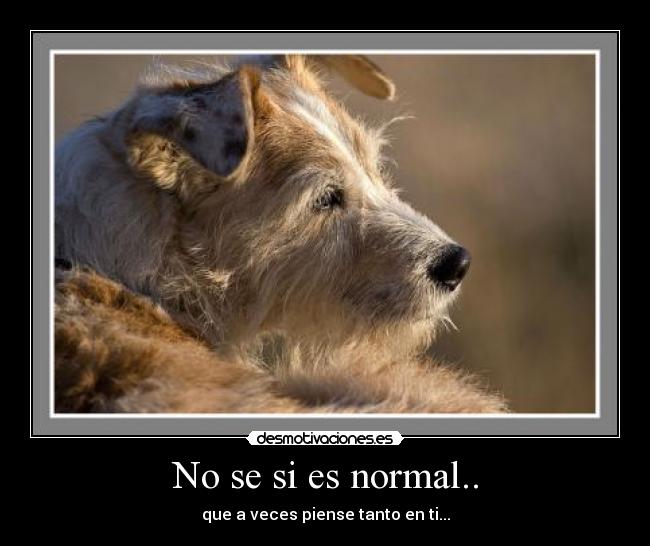 No se si es normal.. - que a veces piense tanto en ti...