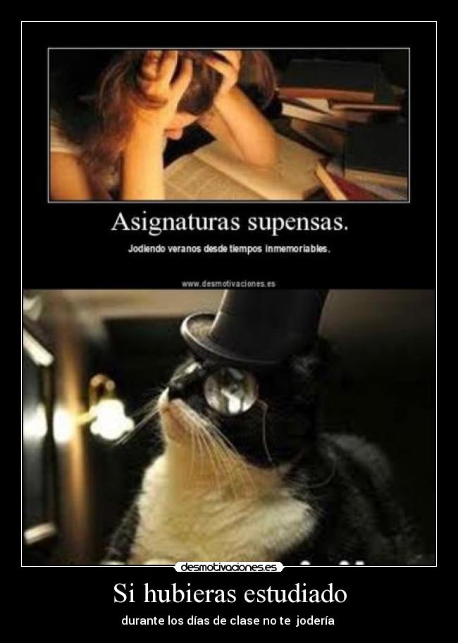 Si hubieras estudiado -