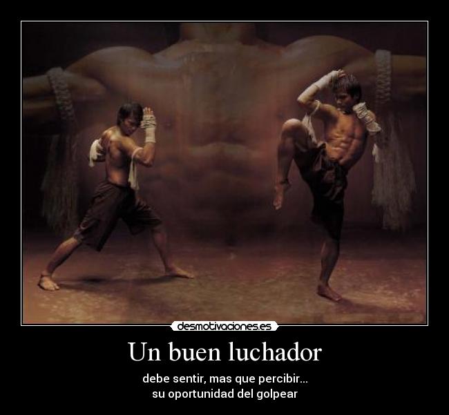 Un buen luchador - debe sentir, mas que percibir...
su oportunidad del golpear