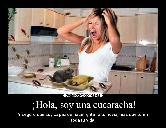 ¡Hola, soy una cucaracha! - 