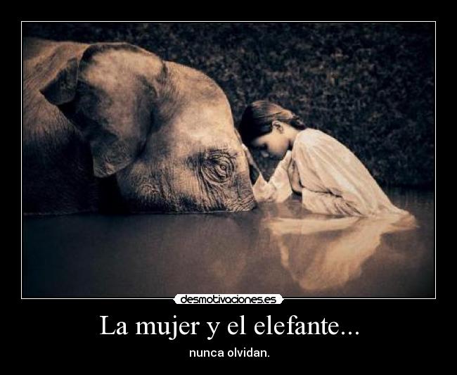 La mujer y el elefante... -