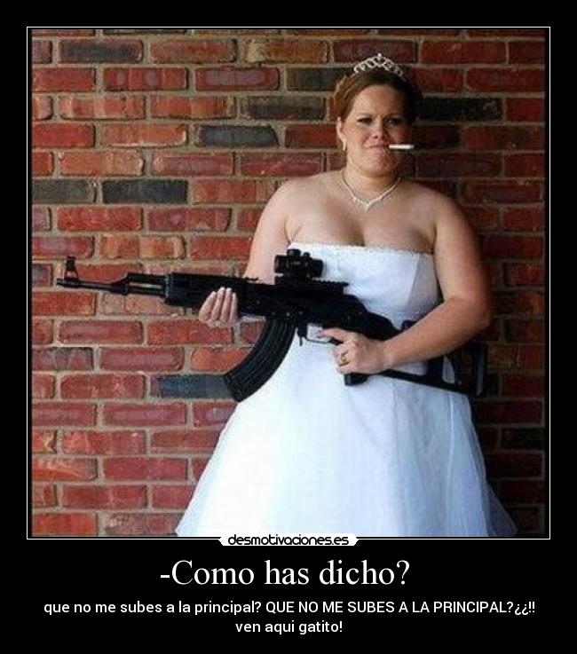 -Como has dicho? - que no me subes a la principal? QUE NO ME SUBES A LA PRINCIPAL?¿¿!!
ven aqui gatito!