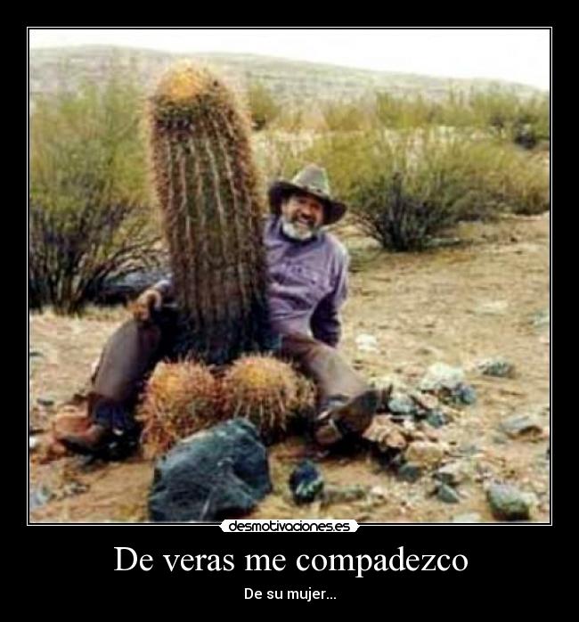 De veras me compadezco -