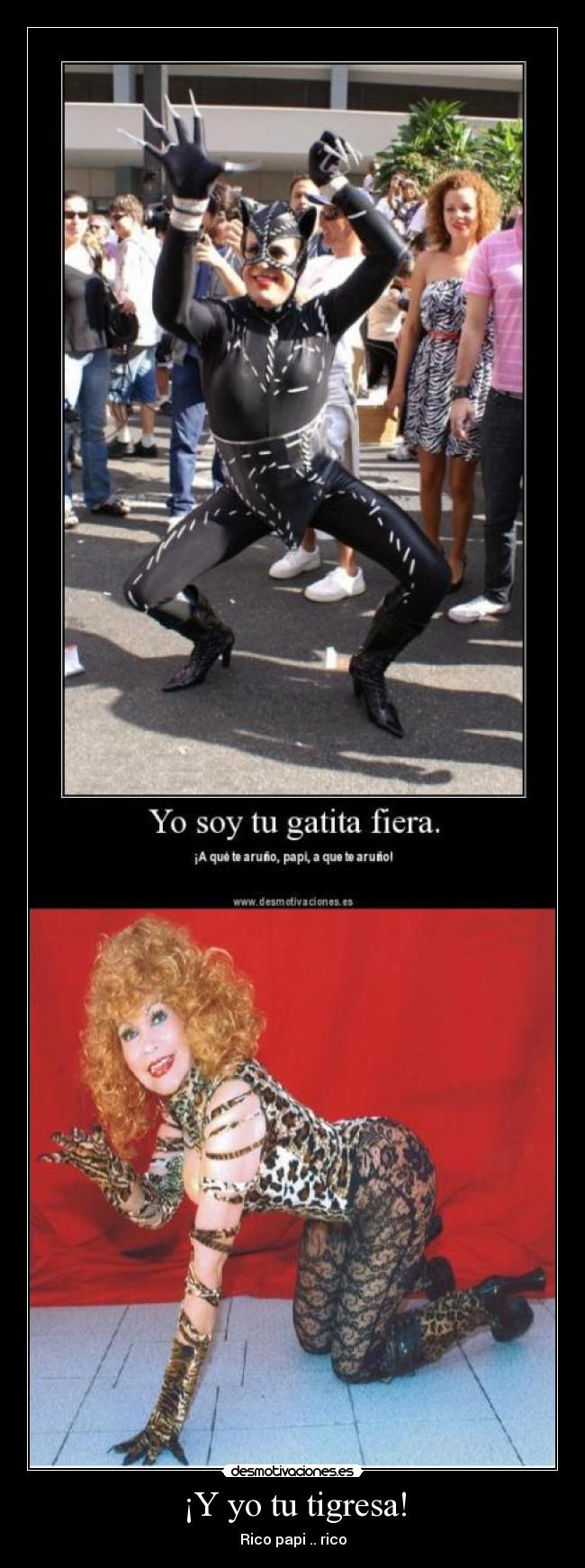 ¡Y yo tu tigresa! - Rico papi .. rico
