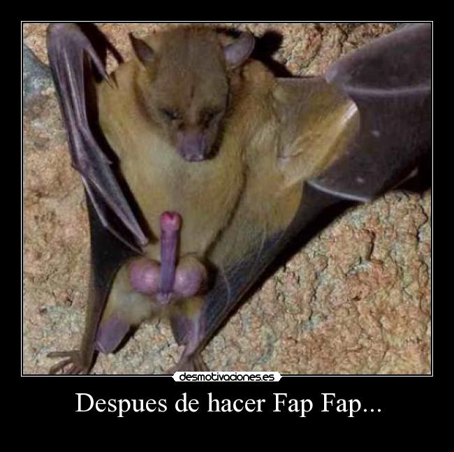 Despues de hacer Fap Fap... -