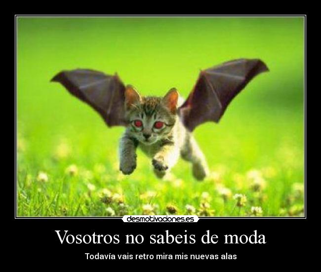 Vosotros no sabeis de moda - Todavía vais retro mira mis nuevas alas