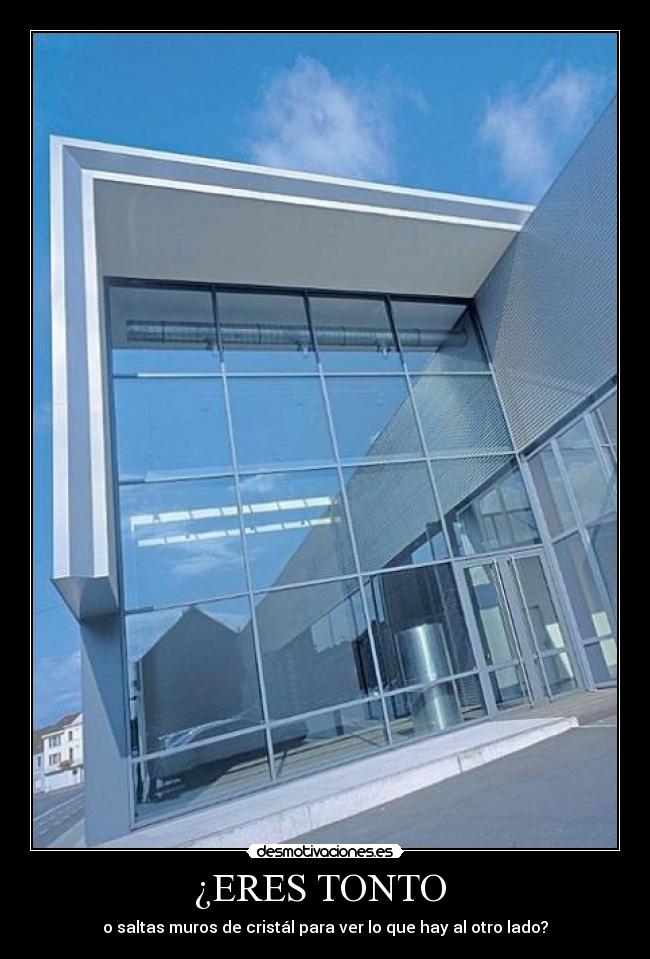 ¿ERES TONTO -