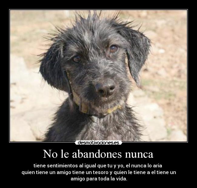No le abandones nunca -