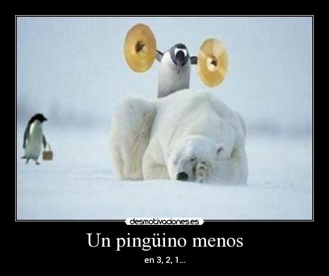 carteles pinguino menos desmotivaciones