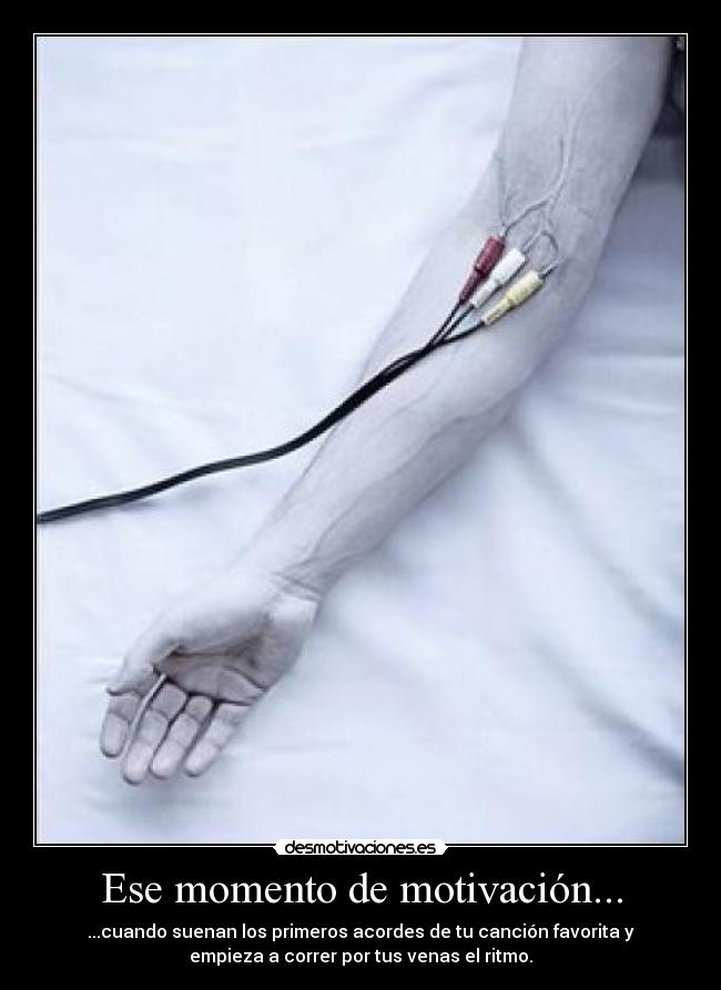 carteles musica desmotivaciones