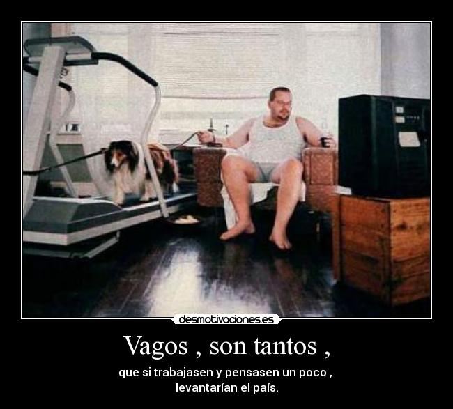 carteles jjajajajajajaj desmotivaciones