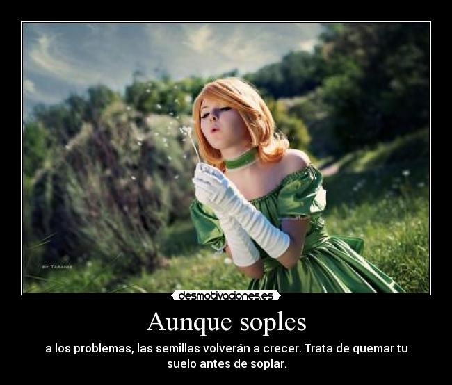 carteles aunque soples desmotivaciones