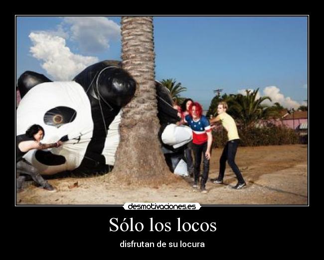 Sólo los locos -
