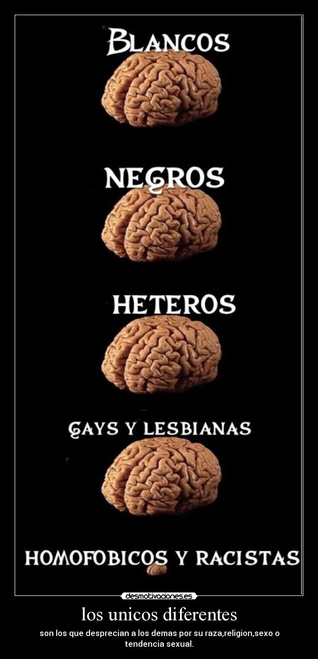 los unicos diferentes - son los que desprecian a los demas por su raza,religion,sexo o tendencia sexual.