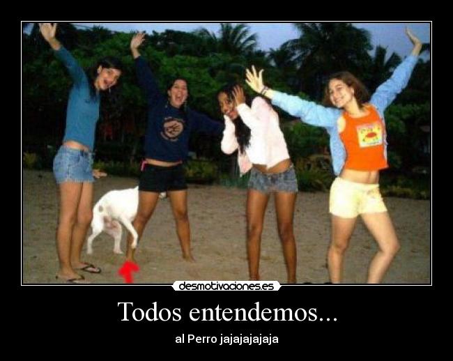 Todos entendemos... - 