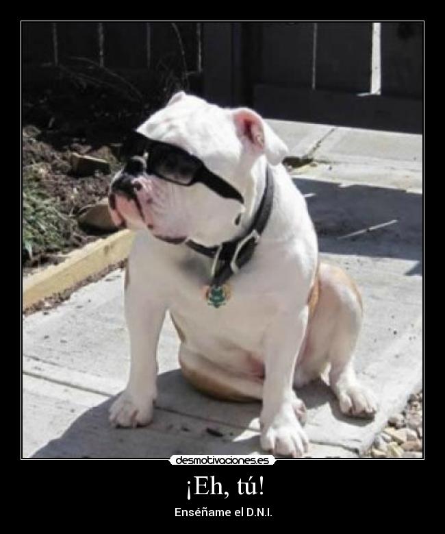 ¡Eh, tú! - Enséñame el D.N.I.
