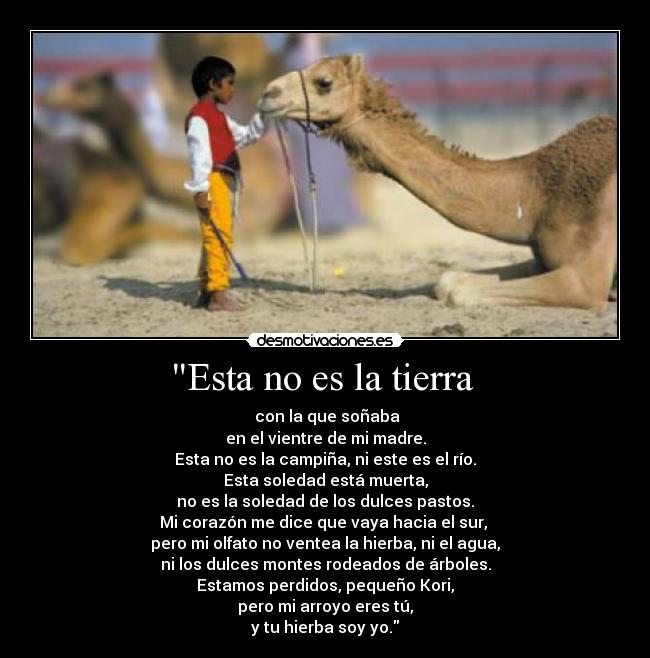 carteles wonka27 desmotivaciones