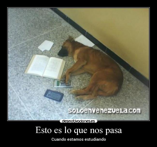 Esto es lo que nos pasa - Cuando estamos estudiando