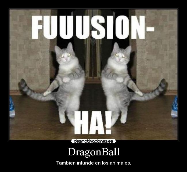 DragonBall -