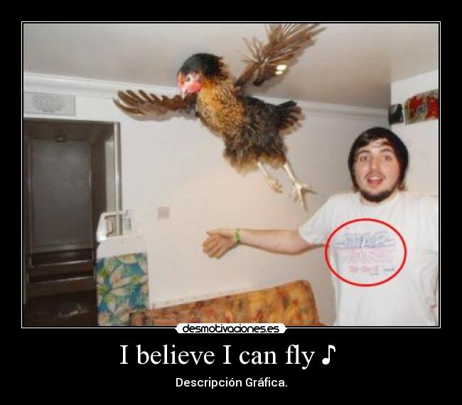 I believe I can fly ♪ - Descripción Gráfica.