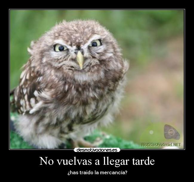 No vuelvas a llegar tarde - 