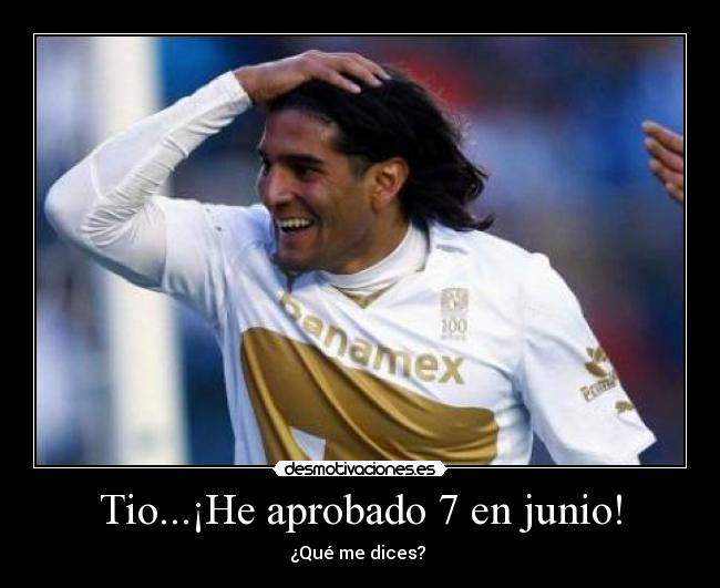 Tio...¡He aprobado 7 en junio! -