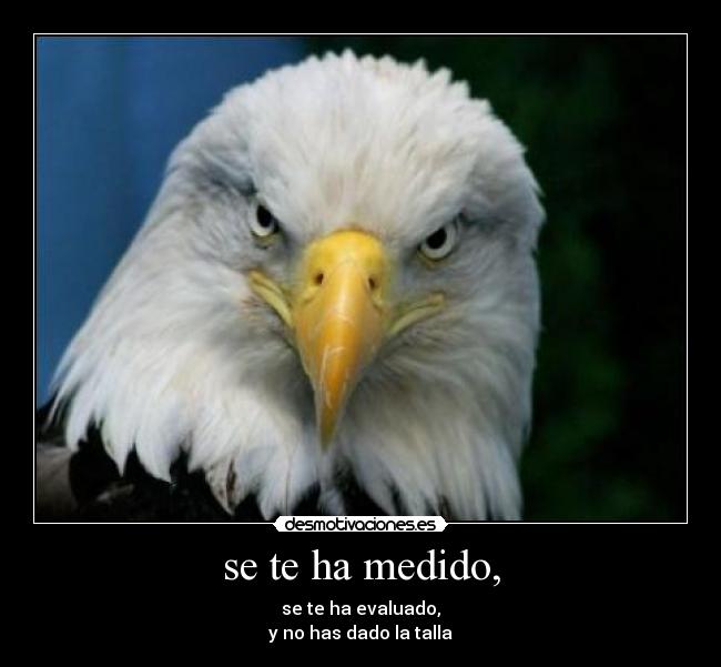 se te ha medido, - se te ha evaluado,
y no has dado la talla