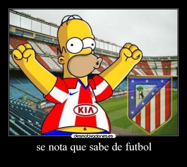 se nota que sabe de futbol -