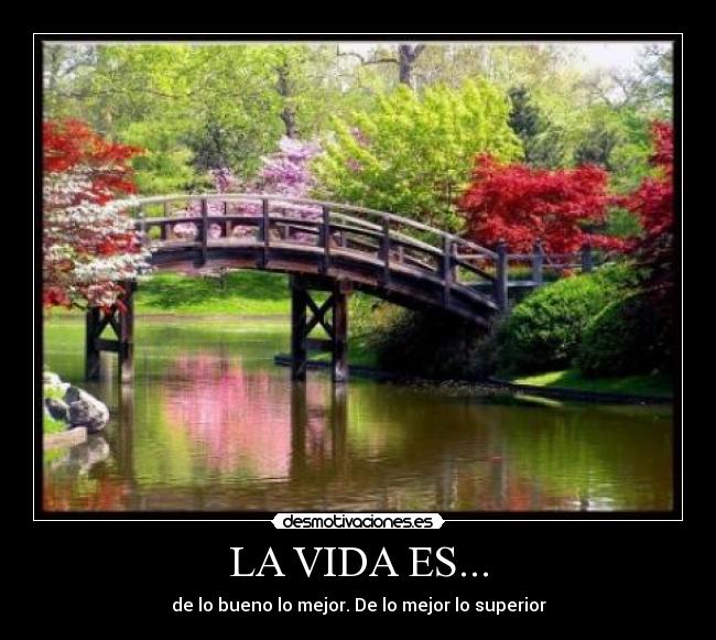 LA VIDA ES... -