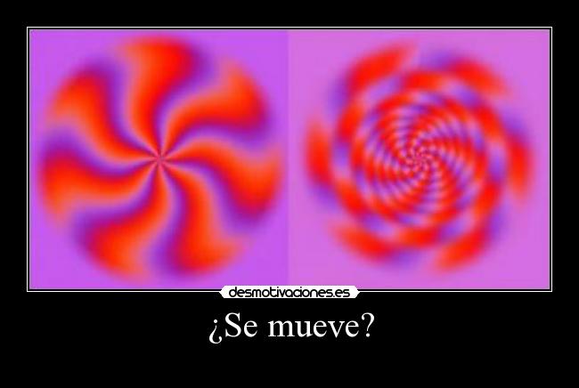 ¿Se mueve? - 